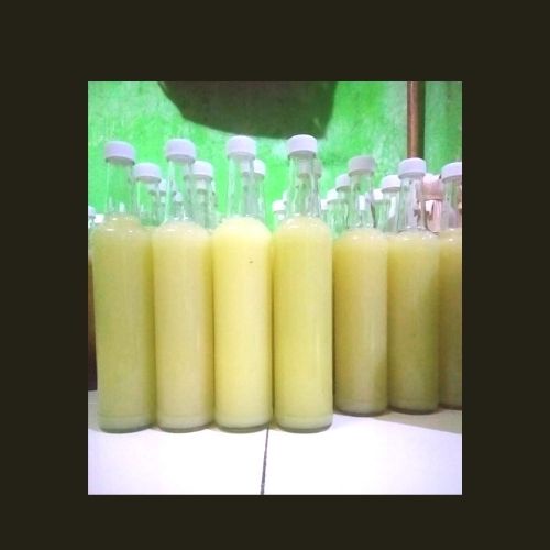 

Madu Putih Hutan Asli Sumbawa