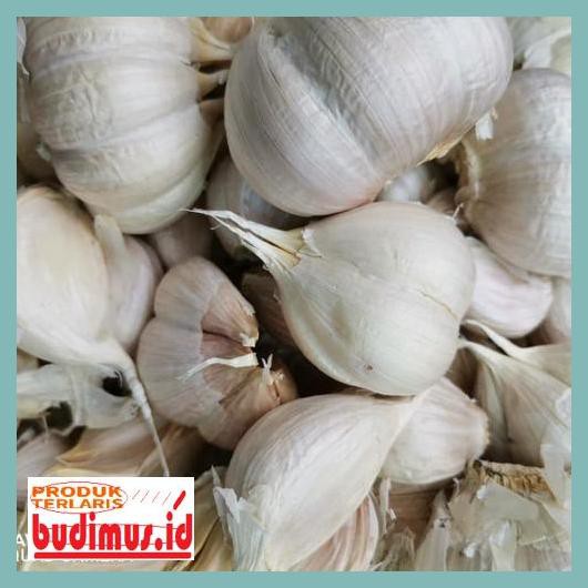 

33Wr4Y5- Bawang Putih Kating 1Kg/1000Gr 66R78T87-