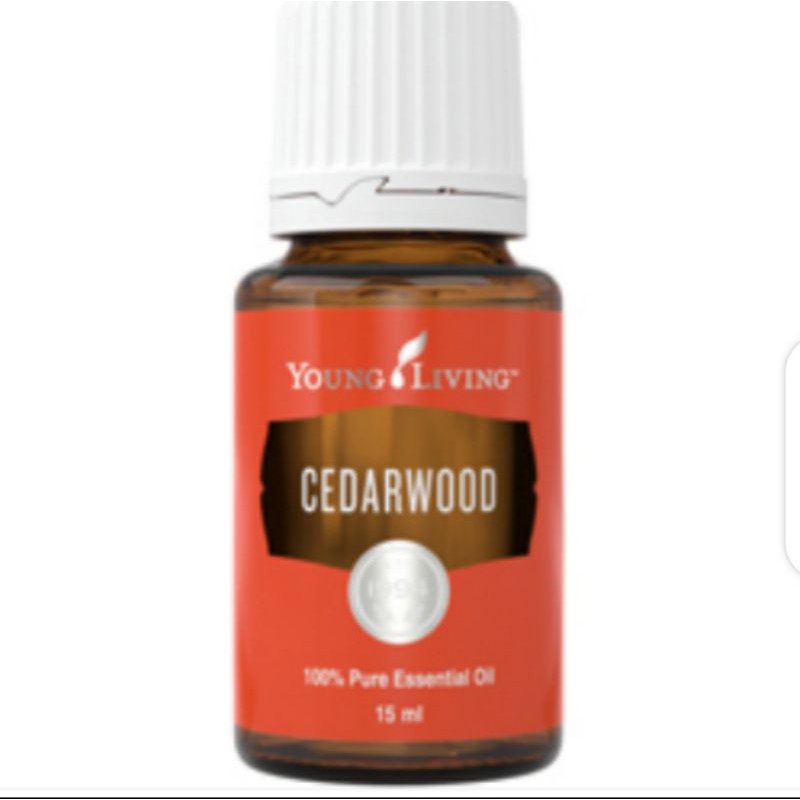 SALE Cedarwood 15ml Young Living Essential oil YLEO YL 15 ML Segel rambut