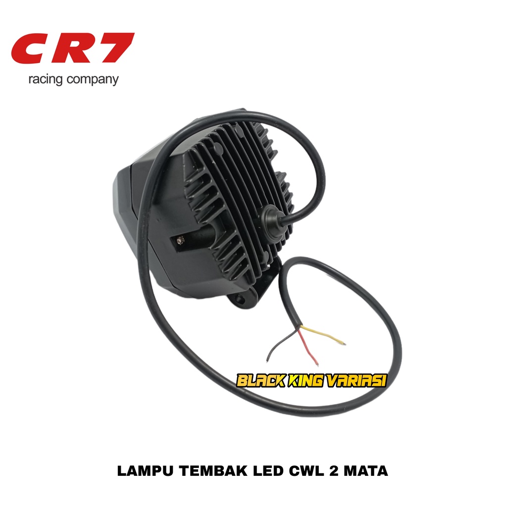 Lampu tembak sorot LED CWL 2 mata lensa 4D 20watt cree Model AE Kotak