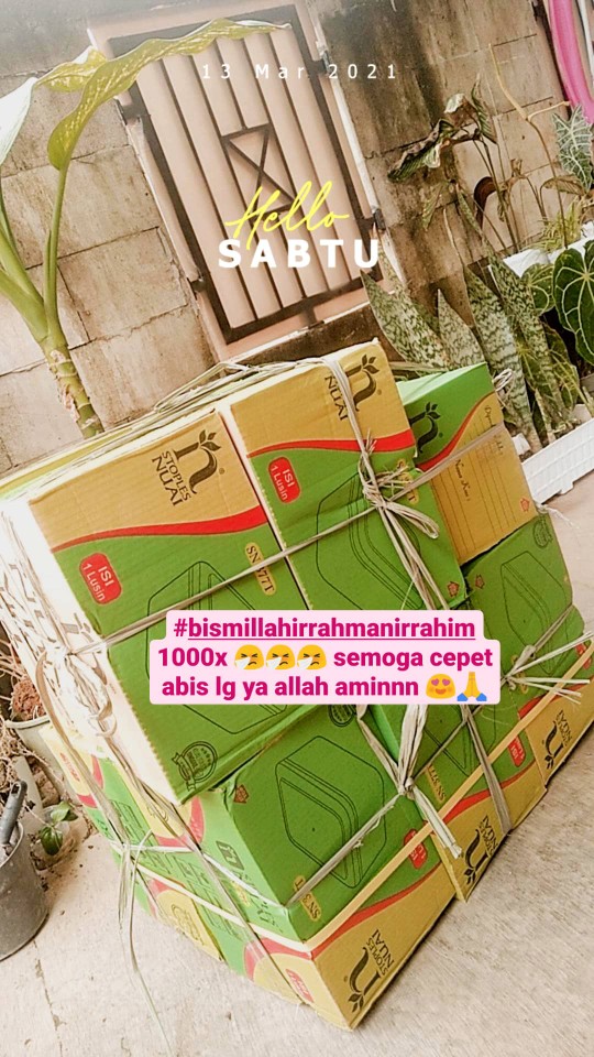 Toples Segi Nuai 0.5 Kg Kue Kering Sn 377 T