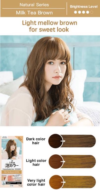 Liese Prettia Bubble Hair Color Cat Rambut Japan Original Natural Series