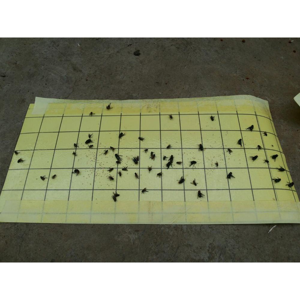 

Lem Lalat Kertas (Ukuran 42 x 22 cm, Isi 10 lembar)