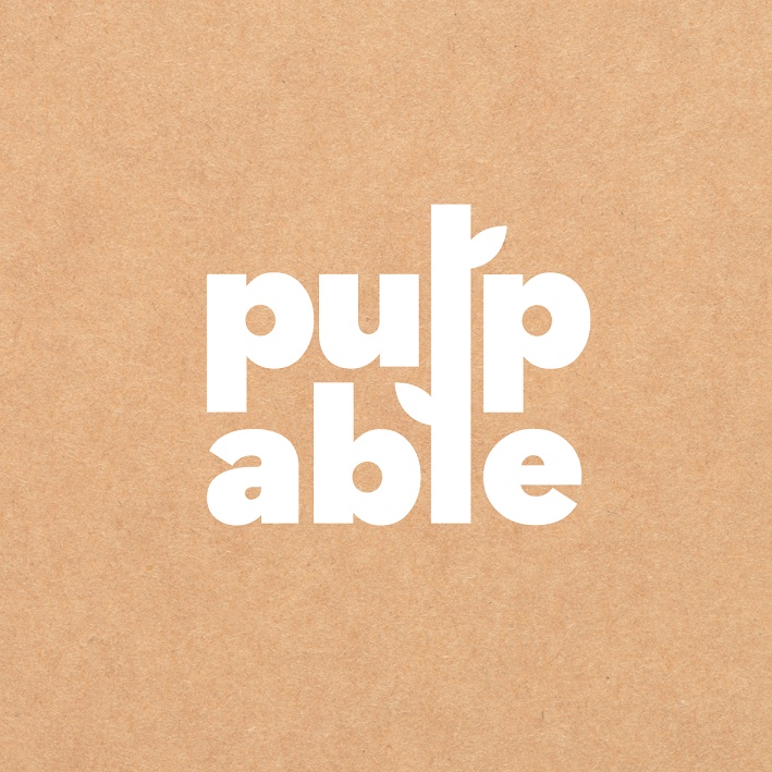 Custom biodegradable polymailer vierrahome