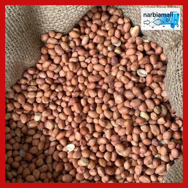 

U8Tyuj7- Kacang Tanah Tuban Super 1Kg - Kulit E4Wr46-