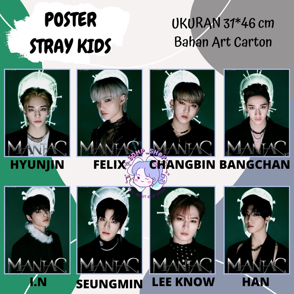 POSTER STRAY KIDS member