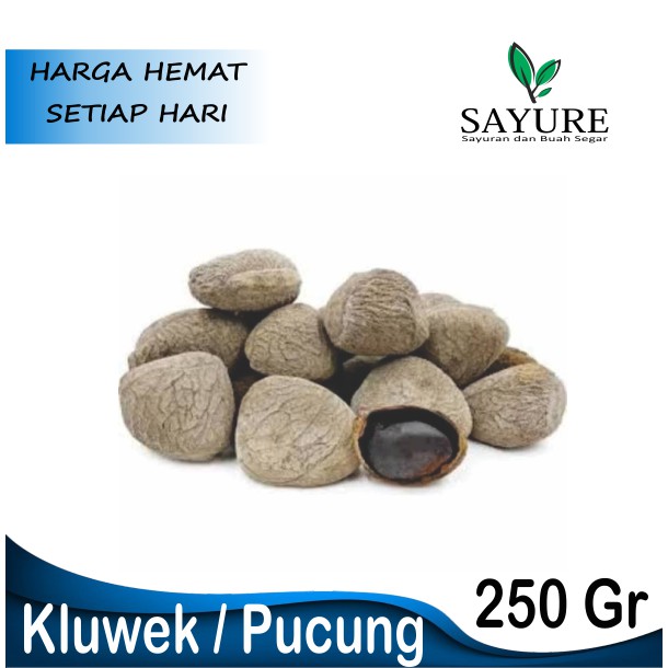 

KLUWEK / KEPAYANG / PUCUNG 250GR