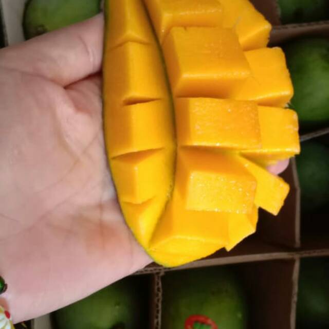 

Buah mangga alpukat (/kg)