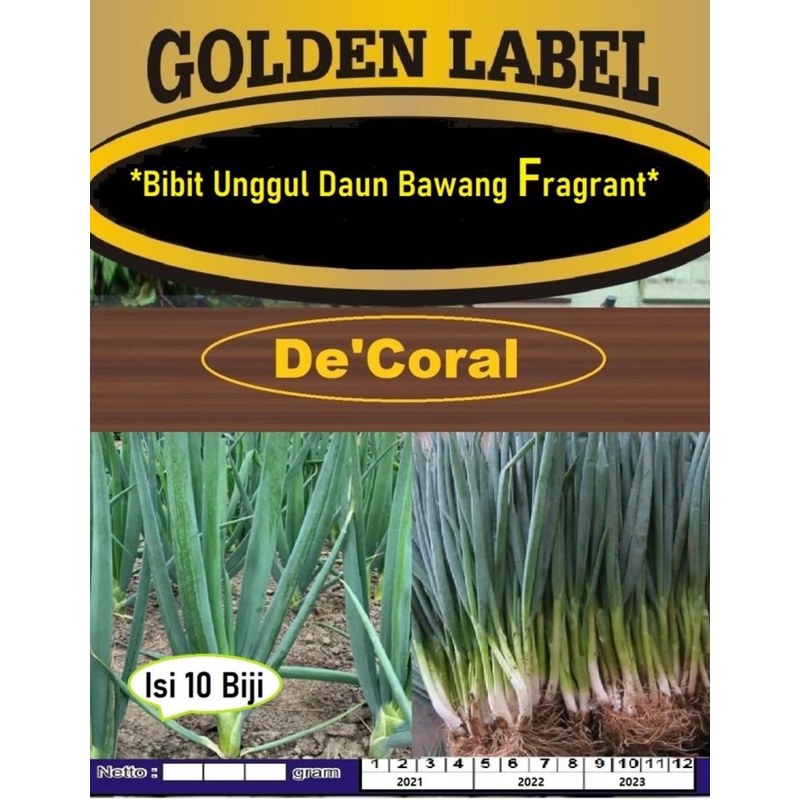 Bibit Unggul Daun Bawang Fragrant | Benih Daun Bawang Fragrant