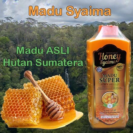 

madu kesehatan asli dari hutan sumatera/lampung/riau/padang honey syaima