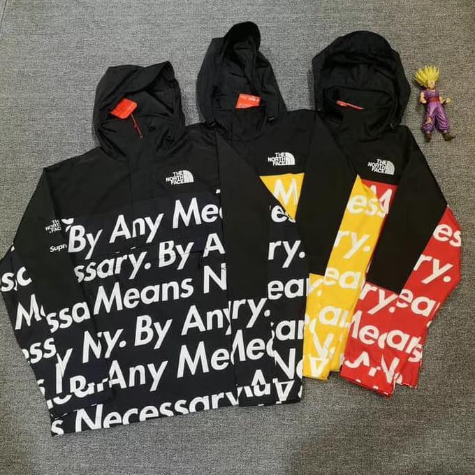 supreme x the north face by any means necessary