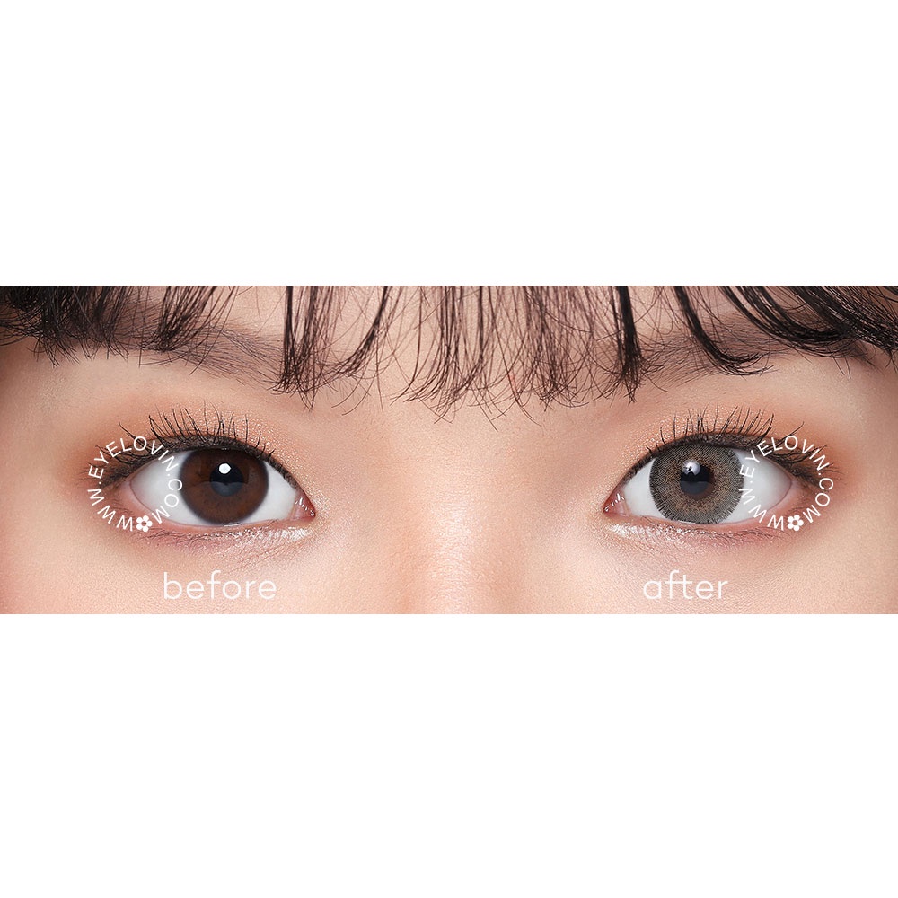 EYELOVIN Softlens Mite Clair - Lemon Brown