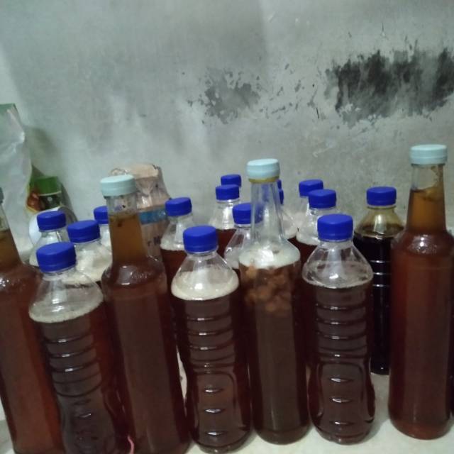 

Madu hutan asli