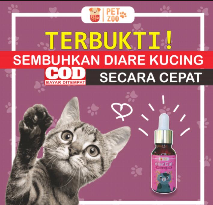 Jual Cingcat Obat Cacing Kucing Drontal Cat Kitten Tetes Cair Catyzole Albenworn Wormix Pet Derm Indonesia Shopee Indonesia