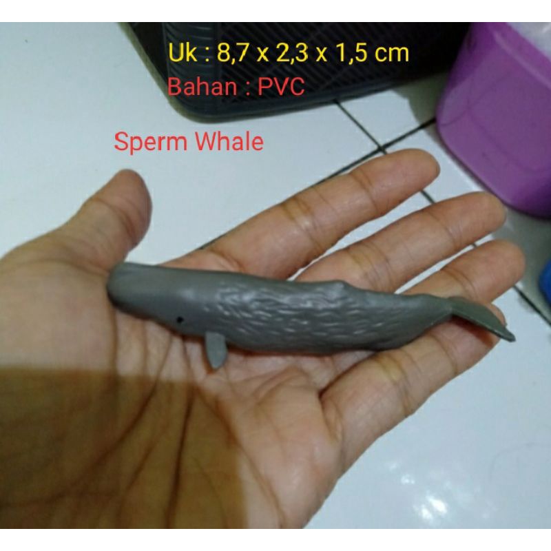 Miniatur Ikan Paus Sperma Miniatur Figure Sperm Whale