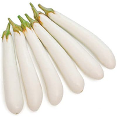 Benih Bibit Biji - Terong Putih Panjang F1 Seeds - Cocok Dataran Rendah sd. Menengah - Panen Dalam 50 Hari - White Long Eggplant Aubergine