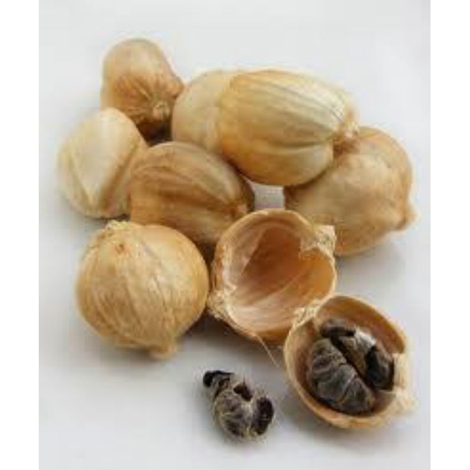 

kapulaga kering 50 Gram