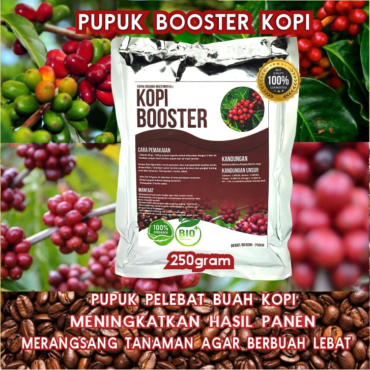 Pupuk Organik Pelebat Booster Kopi Perangsang Buah Kopi, Pupuk Pelebat Buah Kopi berkualitas Nutrisi Terbaik Cepat Berbuah Lebat,Pupuk Perangsang Kopi Organik dan Penyubur Tanaman Kopi