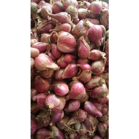 

BAWANG MERAH BREBES SUPER 500 GRAM