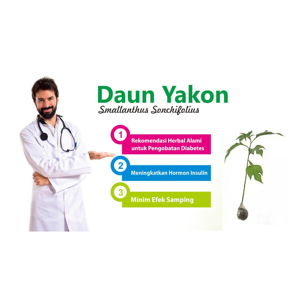 

Daun Insulin Bubuk 500g