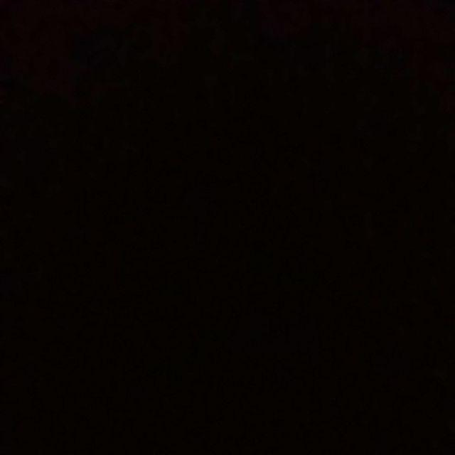 Tanaman Hias Sansivera Penyejuk,penyeteril Udara