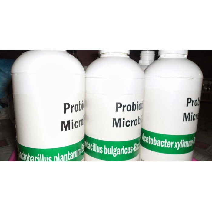 

Kkeanashop Jual Bibit Acetobacter Aceti