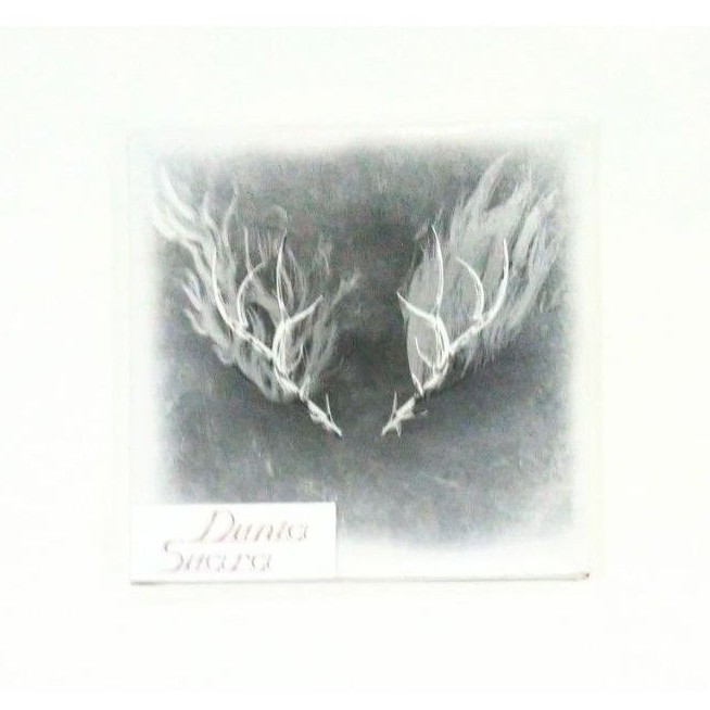 Cd Adrian Adioetomo - S/t