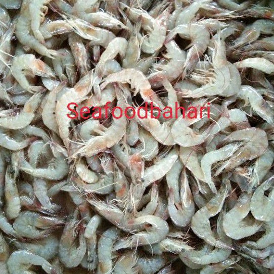 Udang Kecil/Udang Bakwan Segar