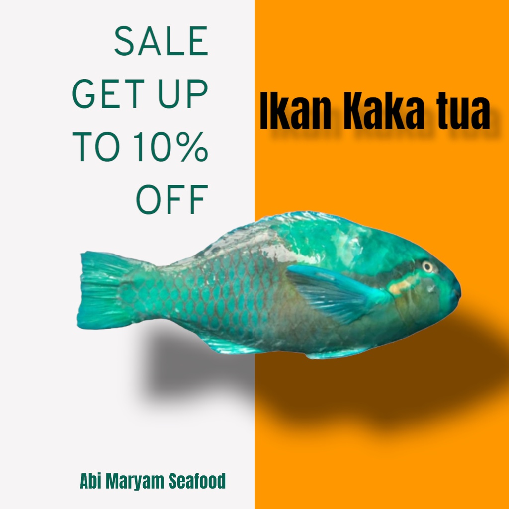 

Ikan Kaka tua Fresh Berkualitas 1kg