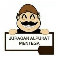 PROMO!!! ALPUKAT MENTEGA PREMIUM GRADE A 1 KG  Shopee Indonesia