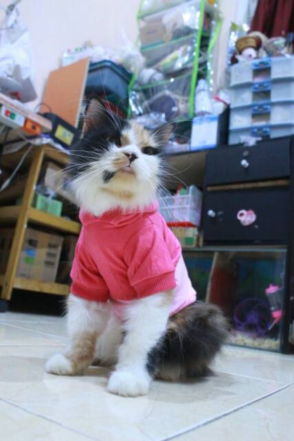 Kaos hoodie pink half toska lucu untuk kucing dan anjing size S M L XL