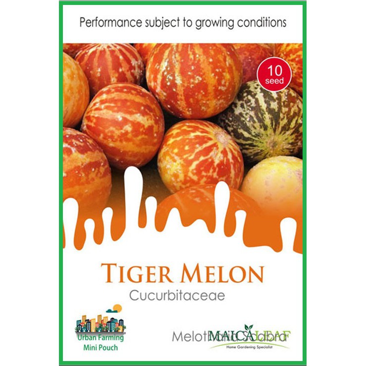 Bibit Melon Benih Bibit Melon TIGER MELON 1pack