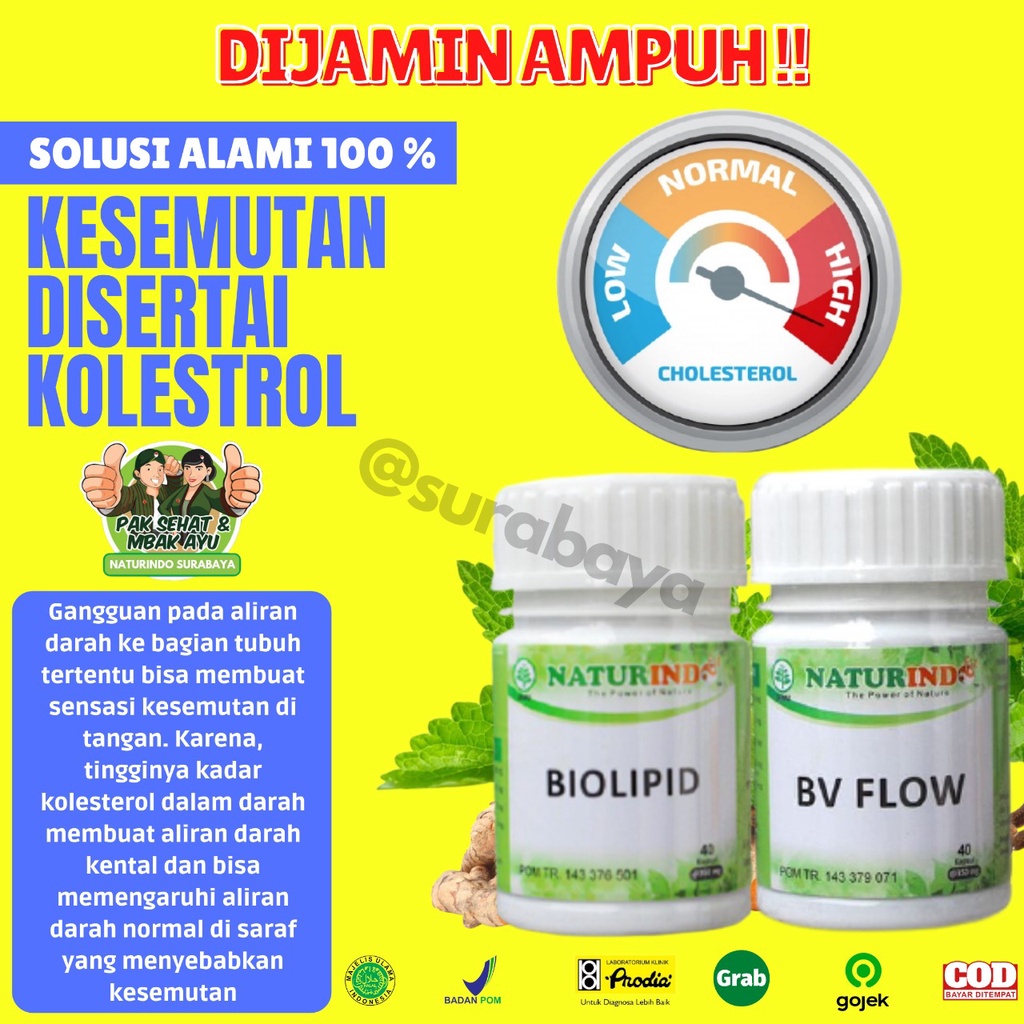 Obat Penurun Kolestrol Kolesterol Tinggi 250 Asam Urat Obat Herbal Penurun Kolestrol Jahat Darah Tinggi Obat Penghancur Lemak Darah Herbal Ampuh Menurunkan Kolesterol Bpom Jamu Kolestrol Stroke Jantung Koroner Tradisional Biolipid Naturindo Surabaya-DISERTAI KESEMUTAN