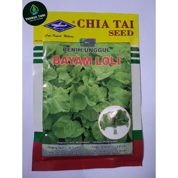BENIH BAYAM LOLI 50GRAM