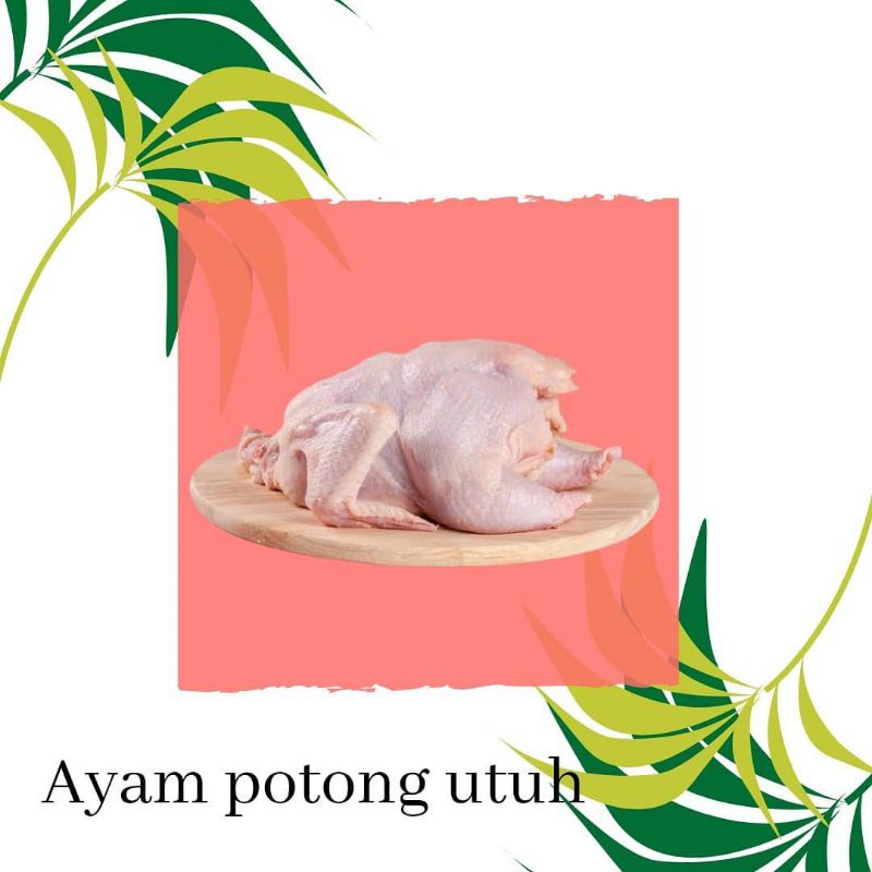 

ayam UK 1.1