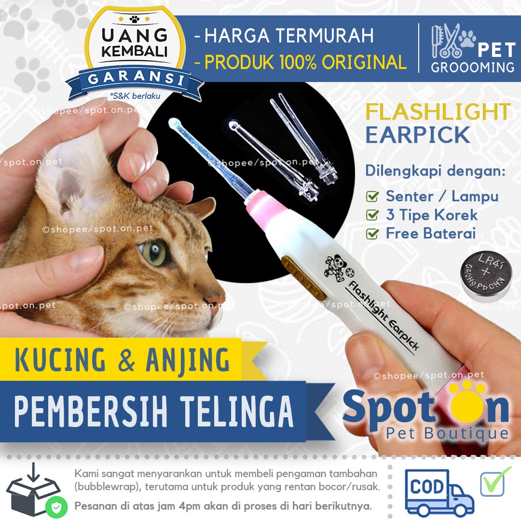 Pembersih Telinga Hewan Dengan Senter | Korek Kuping Anjing Kucing