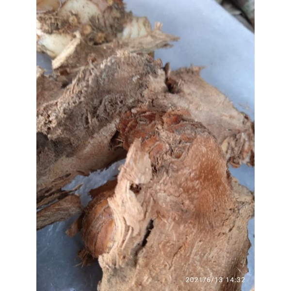 

Laja goah kering 500 gram
