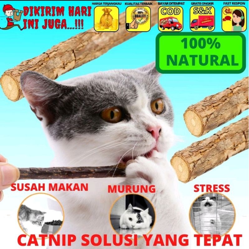 Catnip batang katnip import isi 2 snack natural stick watatabi kucing