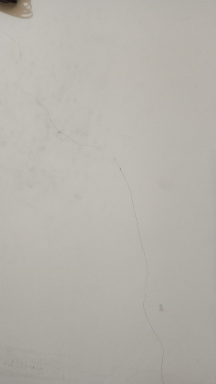 Stell Ball 7/32 Inc Pelor 5,55mm