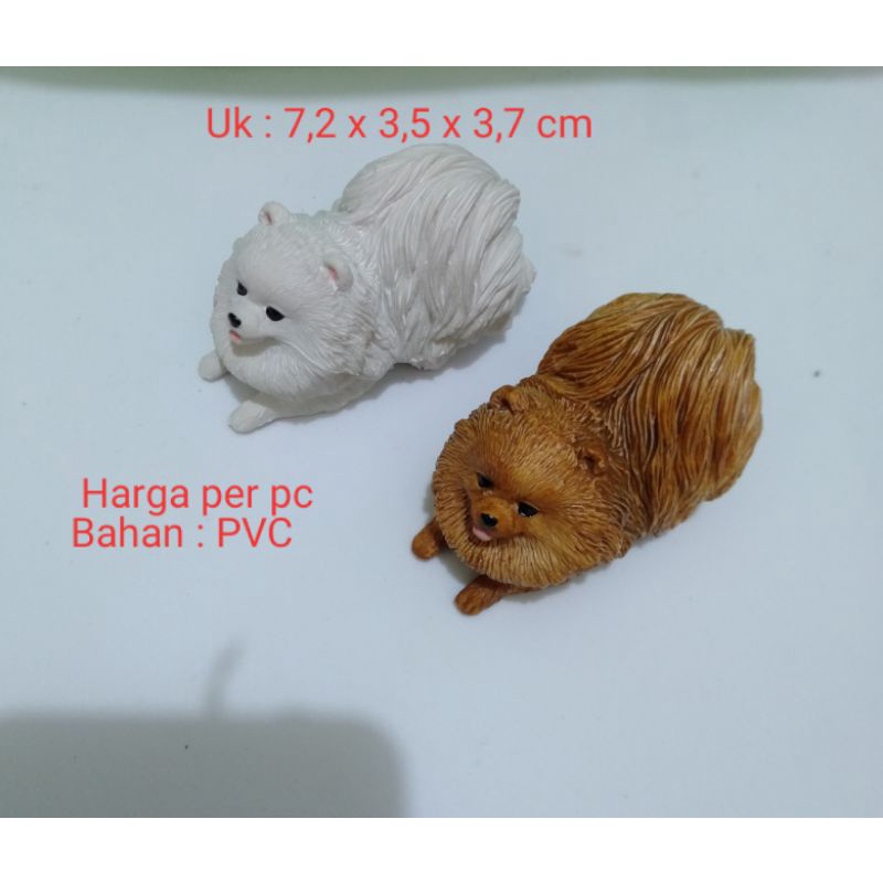 Miniatur Anjing PomPom Miniatur Anjing Pomeranian