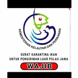Surat Karantina Ikan (Khusus Pengiriman Luar Pulau(