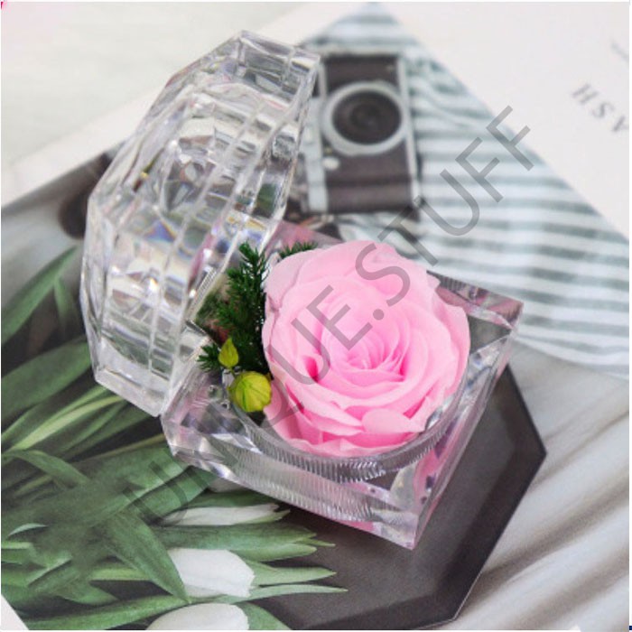 Everlasting flower box preserved flower everlasting rose bunga abadi