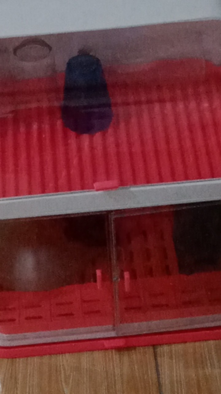 Rak Piring Mangkuk Sendok Tempat Pengering Alat Dapur Rak Wastafel