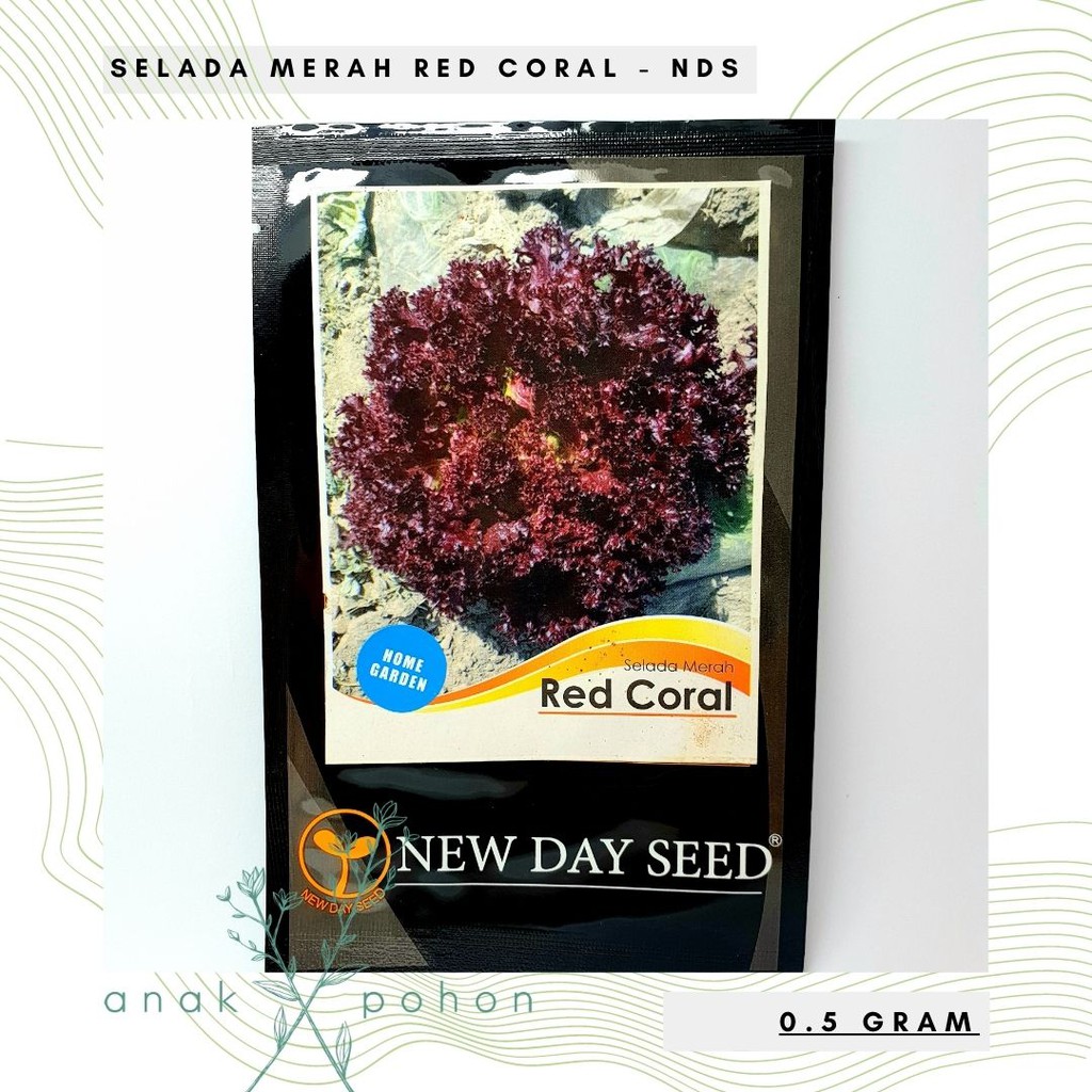 ( 1 PACK ) Benih Selada Merah Red Coral - NEW DAY SEED