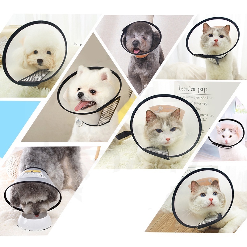 corong kucing pelindung leher anjing neck collar  corong anjing cone leher anjing collar kucing murah