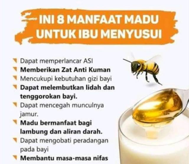 Madu Original Trigona Klanceng Propolis Kelo Indonesia