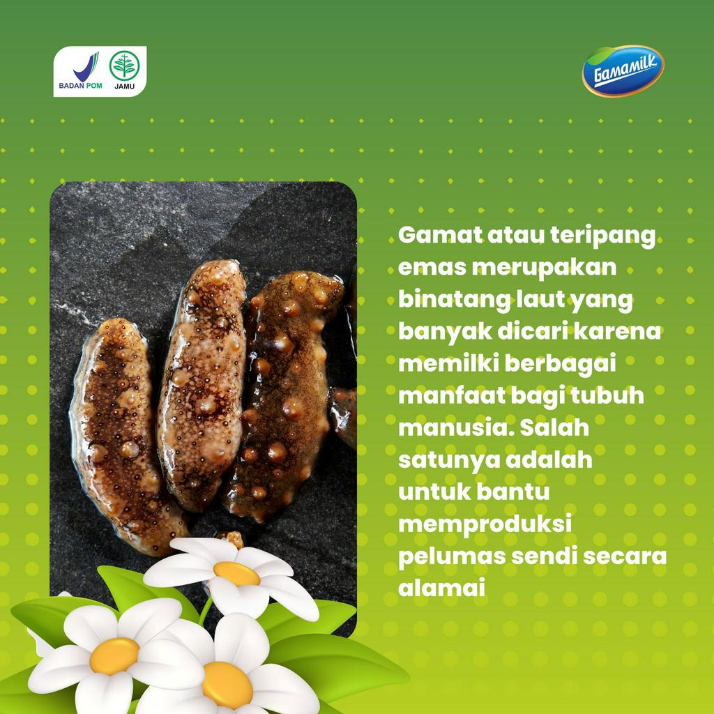 (2 BOX) Gamamilk Susu Etawa Solusi Atasi Nyeri Lutut, Nyeri Sendi, Asam Urat, Rematik dengan Herbal Pilihan