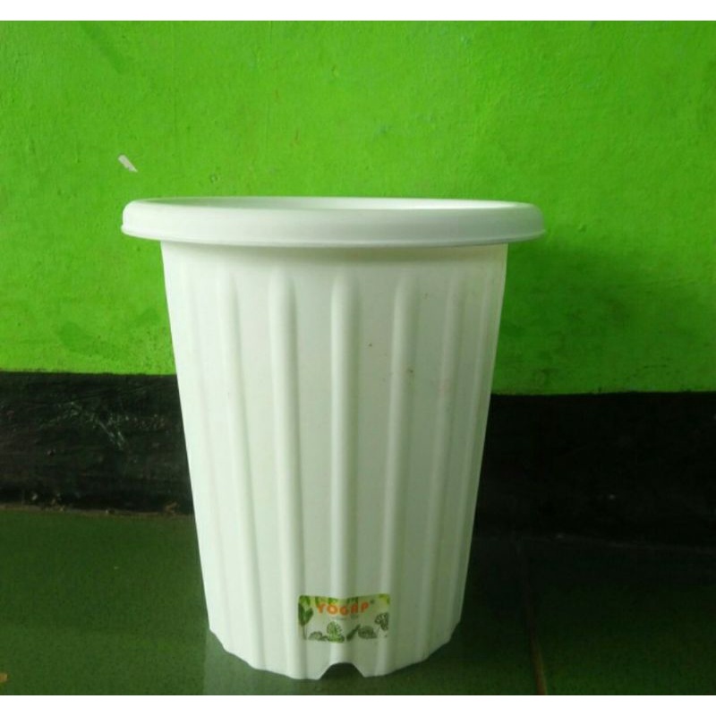 POT YOGAP 15 // POT YOGAP PUTIH