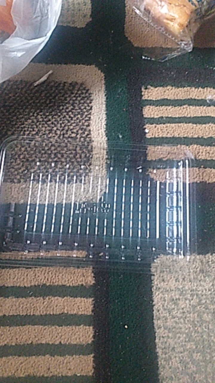 Mika Tray Sayur Plastik / Tr 03 Tebal Serba Guna Isi 50 Pcs