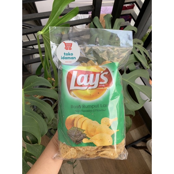 

LAYS RUMPUT LAUT